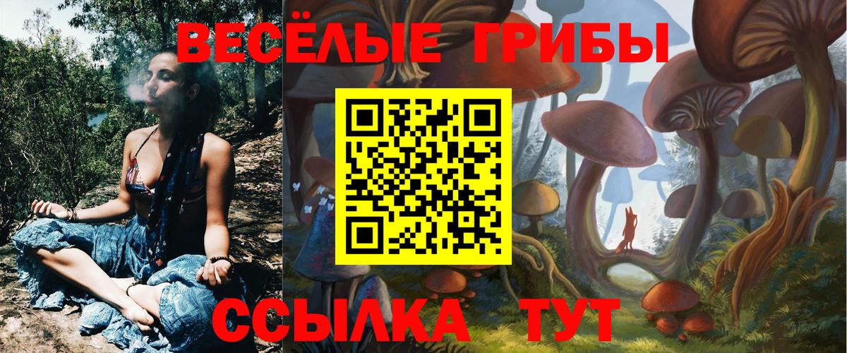 Галлюциногенные грибы прущие грибы  Псилоцибиновые грибы MAGIC MUSHROOMS  Вход с VPN  Заволжье 